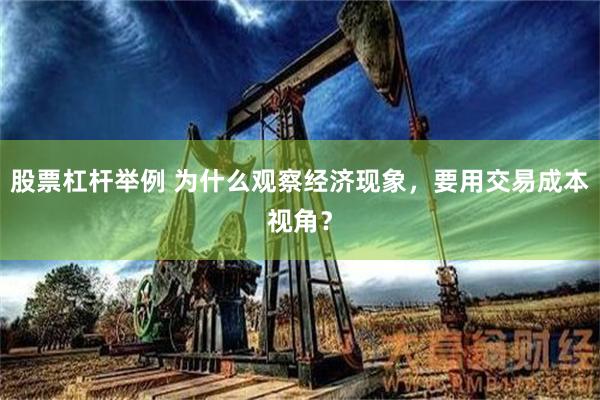 股票杠杆举例 为什么观察经济现象，要用交易成本视角？