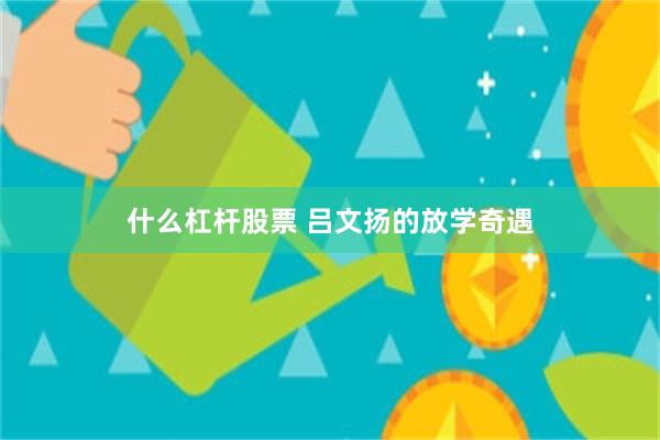 什么杠杆股票 吕文扬的放学奇遇