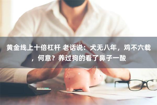 黄金线上十倍杠杆 老话说：犬无八年，鸡不六载，何意？养过狗的看了鼻子一酸