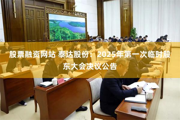 股票融资网站 泰达股份：2025年第一次临时股东大会决议公告