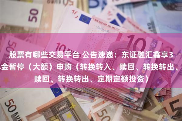 股票有哪些交易平台 公告速递：东证融汇鑫享30天滚动基金基金暂停（大额）申购（转换转入、赎回、转换转出、定期定额投资）