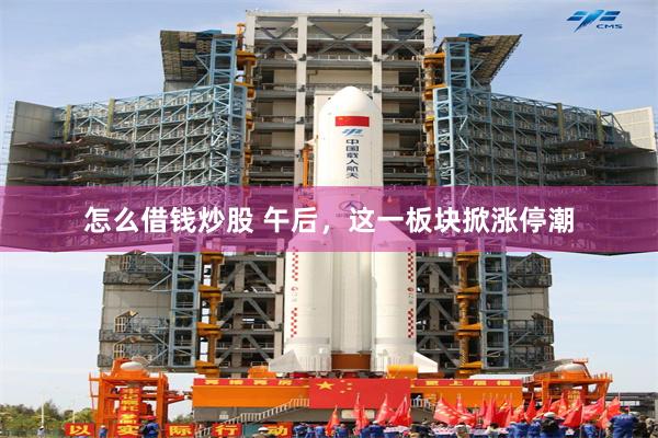 怎么借钱炒股 午后，这一板块掀涨停潮