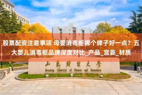 股票配资注意事项 母婴消毒柜哪个牌子好一点？五大婴儿消毒柜品牌深度对比_产品_宫菱_材质