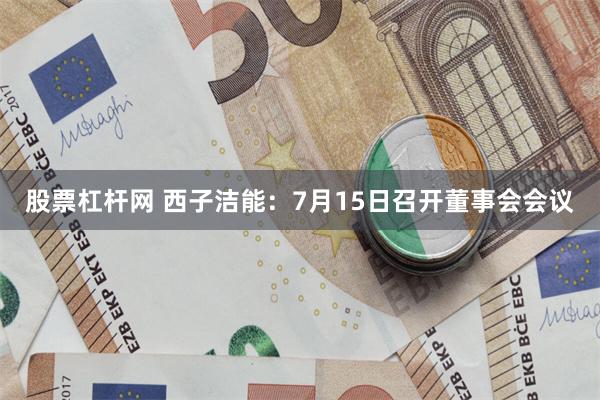 股票杠杆网 西子洁能：7月15日召开董事会会议