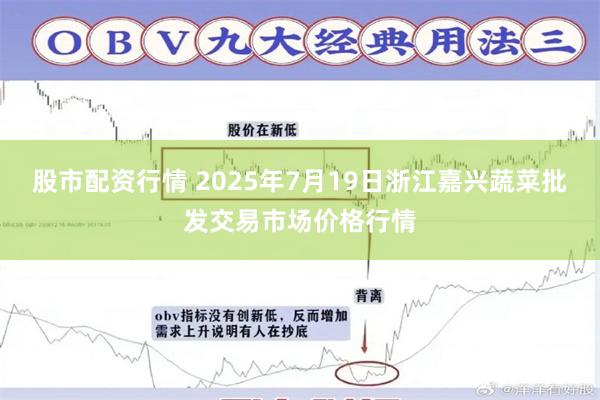 股市配资行情 2025年7月19日浙江嘉兴蔬菜批发交易市场价格行情