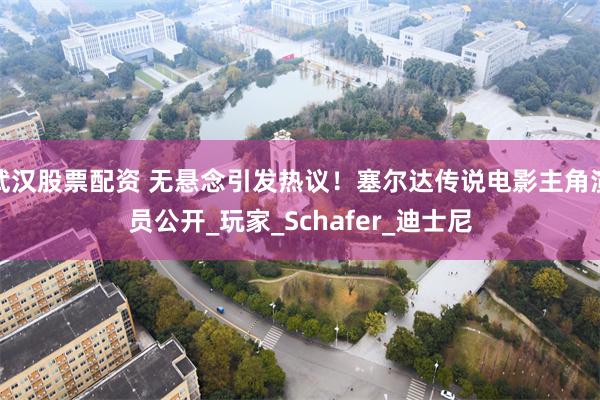 武汉股票配资 无悬念引发热议！塞尔达传说电影主角演员公开_玩家_Schafer_迪士尼