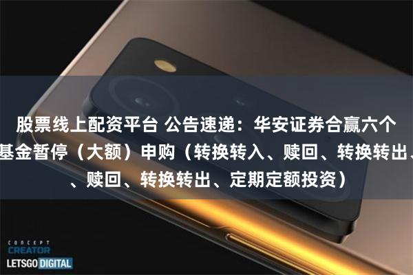 股票线上配资平台 公告速递：华安证券合赢六个月持有债券基金基金暂停（大额）申购（转换转入、赎回、转换转出、定期定额投资）