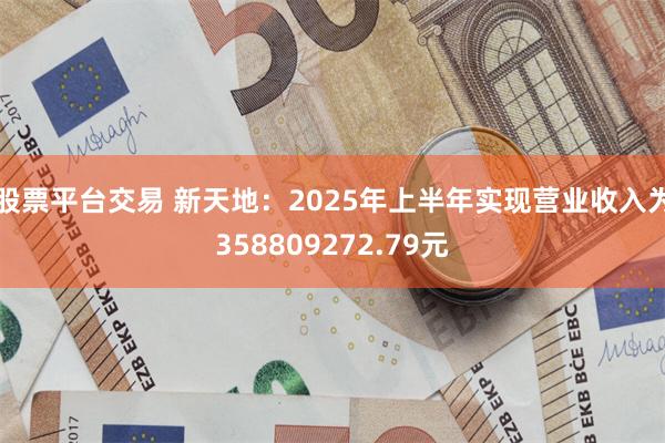 股票平台交易 新天地：2025年上半年实现营业收入为358809272.79元