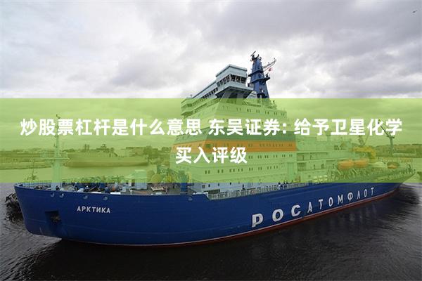 炒股票杠杆是什么意思 东吴证券: 给予卫星化学买入评级