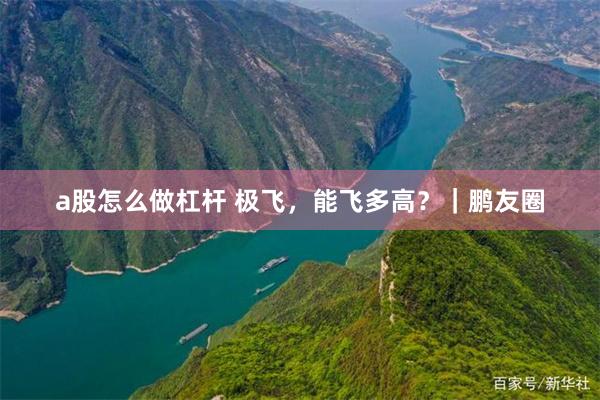 a股怎么做杠杆 极飞，能飞多高？｜鹏友圈
