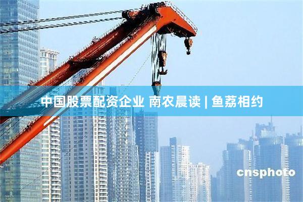 中国股票配资企业 南农晨读 | 鱼荔相约
