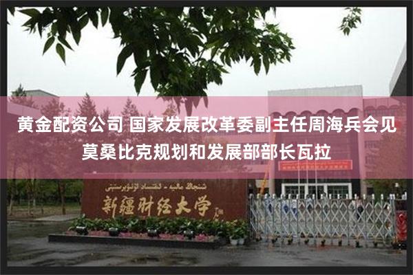 黄金配资公司 国家发展改革委副主任周海兵会见莫桑比克规划和发展部部长瓦拉