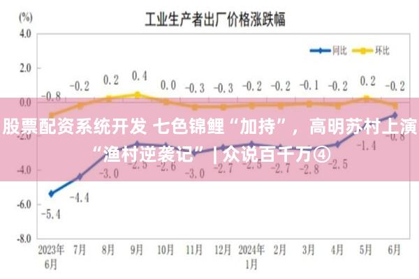 股票配资系统开发 七色锦鲤“加持”，高明苏村上演“渔村逆袭记” | 众说百千万④