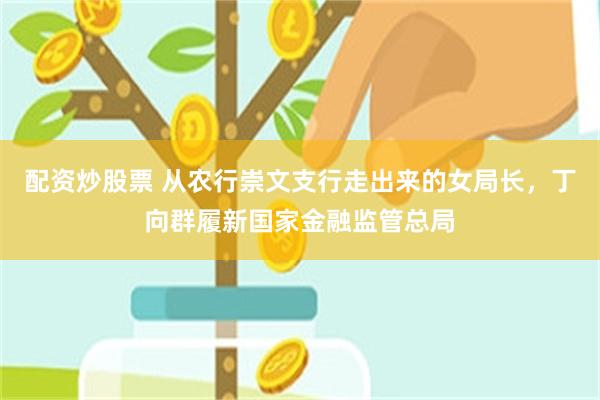 配资炒股票 从农行崇文支行走出来的女局长，丁向群履新国家金融监管总局