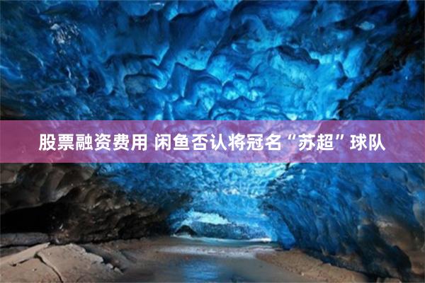 股票融资费用 闲鱼否认将冠名“苏超”球队