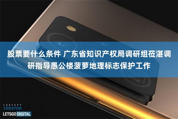股票要什么条件 广东省知识产权局调研组莅湛调研指导愚公楼菠萝地理标志保护工作
