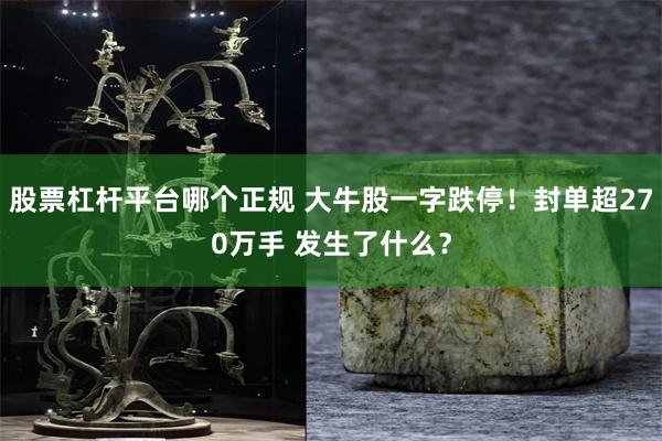 股票杠杆平台哪个正规 大牛股一字跌停！封单超270万手 发生了什么？