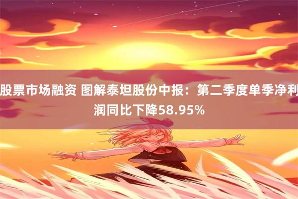 股票市场融资 图解泰坦股份中报：第二季度单季净利润同比下降58.95%