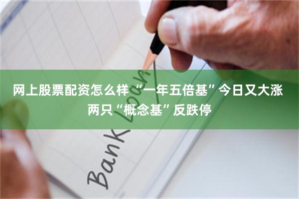 网上股票配资怎么样 “一年五倍基”今日又大涨 两只“概念基”反跌停