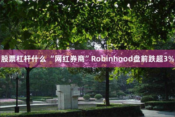 股票杠杆什么 “网红券商”Robinhood盘前跌超3%