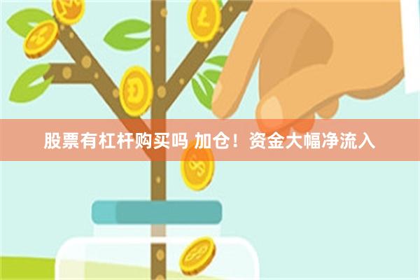 股票有杠杆购买吗 加仓!资金大幅净流入