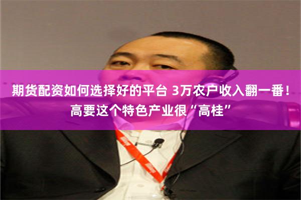 期货配资如何选择好的平台 3万农户收入翻一番!高要这个特色产业很“高桂”