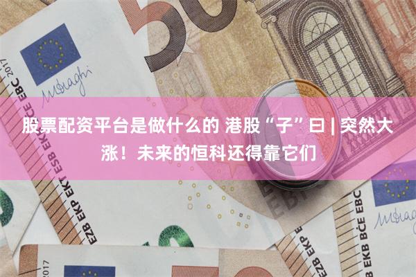 股票配资平台是做什么的 港股“子”曰 | 突然大涨！未来的恒科还得靠它们