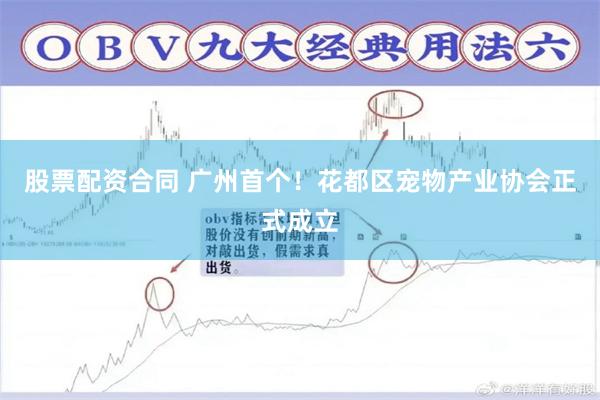 股票配资合同 广州首个！花都区宠物产业协会正式成立