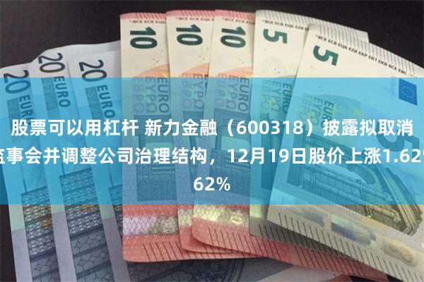股票可以用杠杆 新力金融（600318）披露拟取消监事会并调整公司治理结构，12月19日股价上涨1.62%