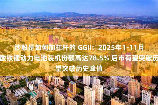 炒股是如何加杠杆的 GGII：2025年1-11月国内磷酸铁锂动力电池装机份额高达78.5% 后市有望突破历史峰值