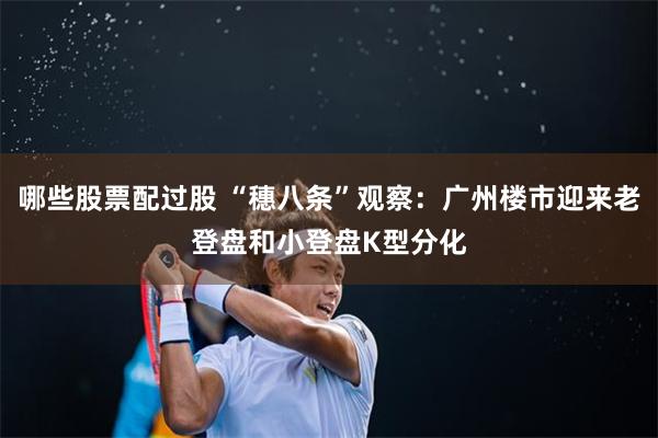 哪些股票配过股 “穗八条”观察:广州楼市迎来老登盘和小登盘K型分化