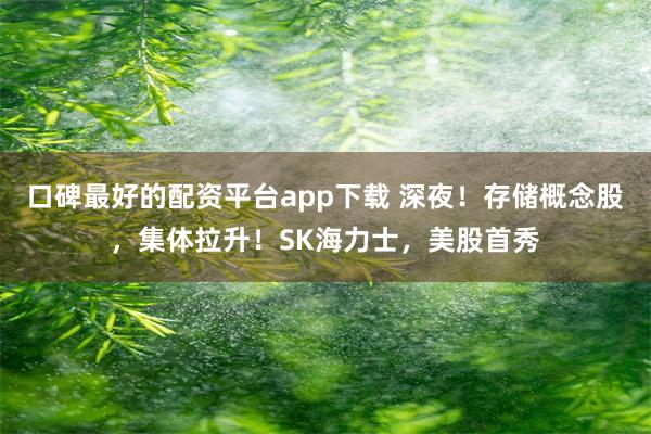 口碑最好的配资平台app下载 深夜！存储概念股，集体拉升！SK海力士，美股首秀