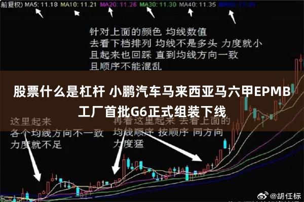 股票什么是杠杆 小鹏汽车马来西亚马六甲EPMB工厂首批G6正式组装下线