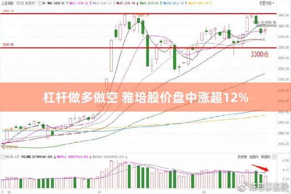 杠杆做多做空 雅培股价盘中涨超12%