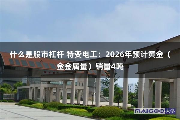什么是股市杠杆 特变电工：2026年预计黄金（金金属量）销量4吨