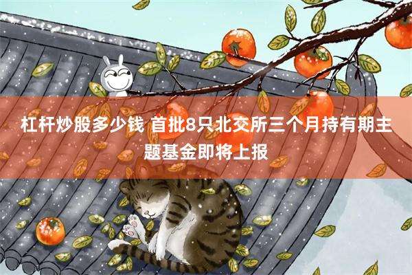 杠杆炒股多少钱 首批8只北交所三个月持有期主题基金即将上报