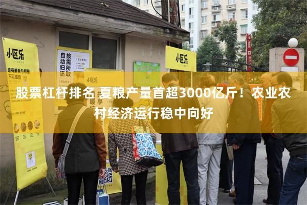 股票杠杆排名 夏粮产量首超3000亿斤！农业农村经济运行稳中向好