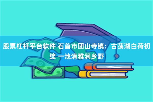 股票杠杆平台软件 石首市团山寺镇：古荡湖白荷初绽 一池清雅润乡野