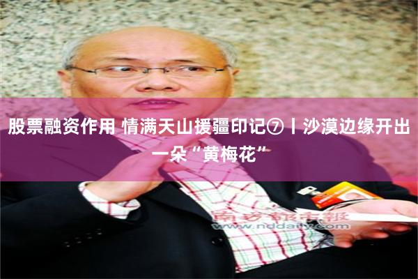 股票融资作用 情满天山援疆印记⑦丨沙漠边缘开出一朵“黄梅花”