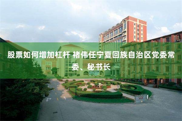 股票如何增加杠杆 褚伟任宁夏回族自治区党委常委、秘书长