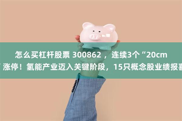 怎么买杠杆股票 300862 ,连续3个“20cm”涨停!氢能产业迈入关键阶段,15只概念股业绩报喜