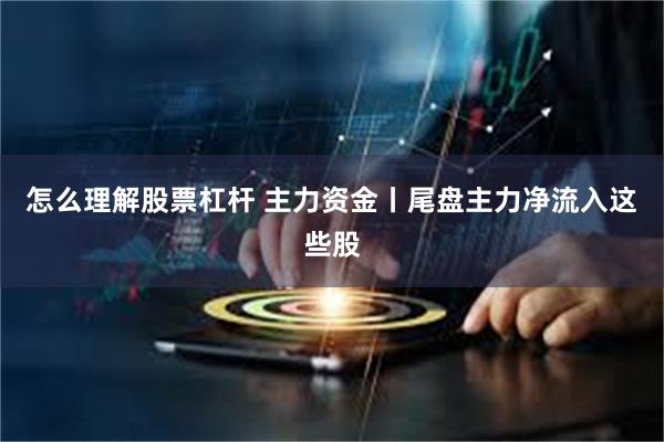 怎么理解股票杠杆 主力资金丨尾盘主力净流入这些股