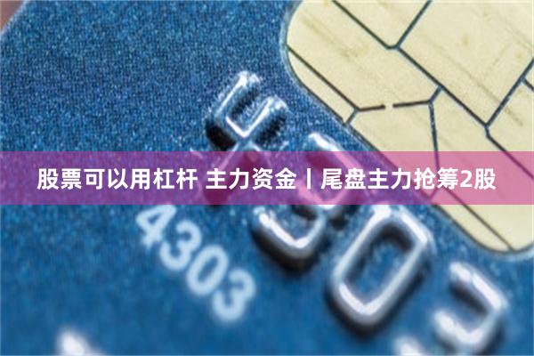 股票可以用杠杆 主力资金丨尾盘主力抢筹2股