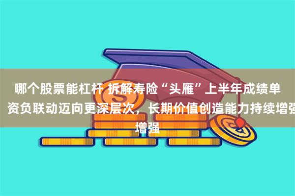 哪个股票能杠杆 拆解寿险“头雁”上半年成绩单：资负联动迈向更深层次，长期价值创造能力持续增强