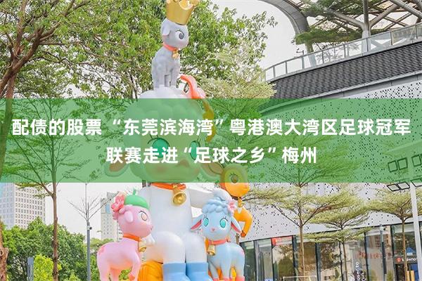 配债的股票 “东莞滨海湾”粤港澳大湾区足球冠军联赛走进“足球之乡”梅州