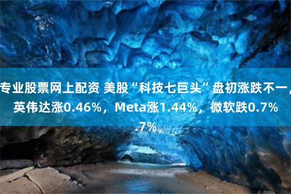 专业股票网上配资 美股“科技七巨头”盘初涨跌不一，英伟达涨0.46%，Meta涨1.44%，微软跌0.7%
