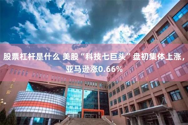 股票杠杆是什么 美股“科技七巨头”盘初集体上涨，亚马逊涨0.66%