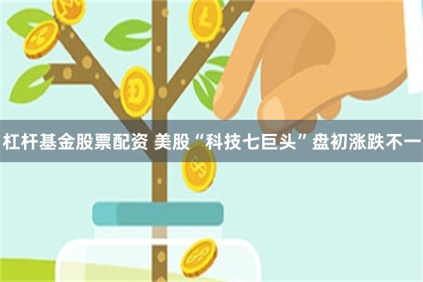 杠杆基金股票配资 美股“科技七巨头”盘初涨跌不一