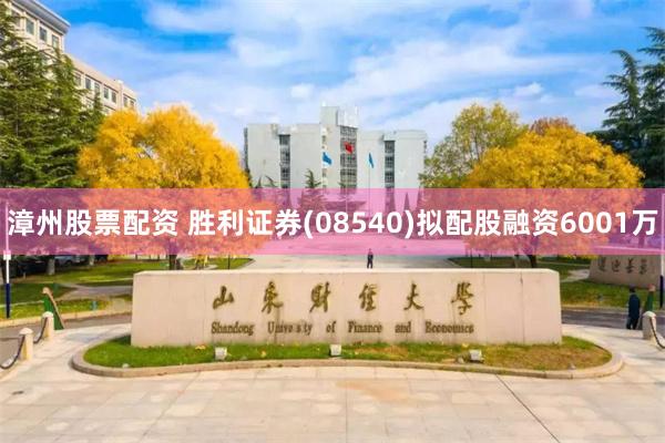 漳州股票配资 胜利证券(08540)拟配股融资6001万