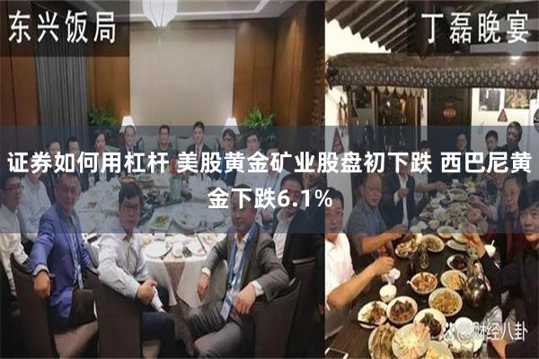 证券如何用杠杆 美股黄金矿业股盘初下跌 西巴尼黄金下跌6.1%